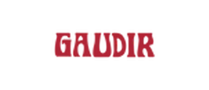 gaudir-swim logo