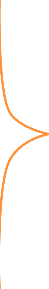 Decorative Sideline Image